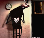 Filbism