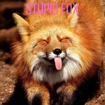 SUPERFOXTUBER GAMES