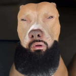 dreamybull21