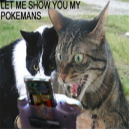 Pokemon Playing Cat Roblox decal