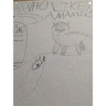 Who likes animals?
