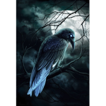 The raven gods