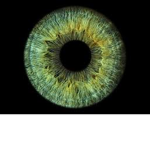 Gnarly Eye Studios