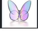 Butter fly!<3