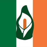 The ReaI Irish RepubIican Army