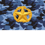 Military task force sea