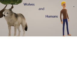 Wolves and humans