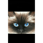 Mocha The Cat Team