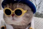 gatmins