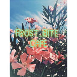Frost_Bite Cafe!