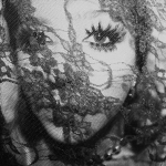 -petunias-