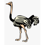Mr. Emu Fan Group!