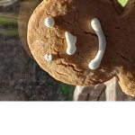Cereal box is donating robux