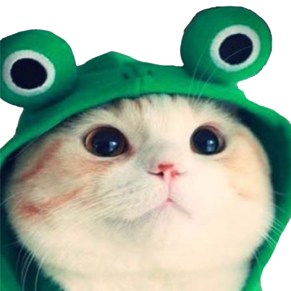 Cat Roblox decal