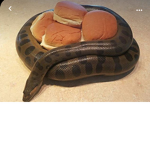 bobaXtea
