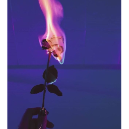 ~*Flames Cafe*~