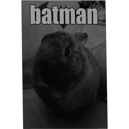 ♡ : alycats silly bunny cape Roblox item