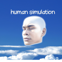 Human simulation