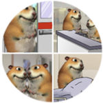 Loss Chomik