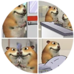 Loss Chomik