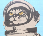 Emma's universe