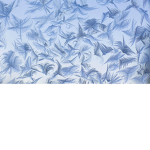 Cam ☻