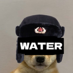 The Soviet Dog Naval Infantry