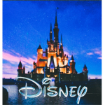 DISNEY Magic kingdom Fan Club