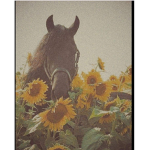 -* Royal stables *-