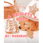 Paisleys angels forever