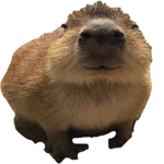 Gortyy group