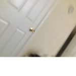 600M