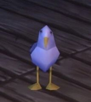 SeagullCREW