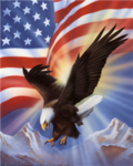 American Eagles (American Defenders)