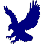 BlueHawks
