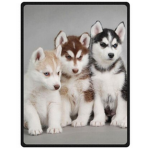 The Husky Army