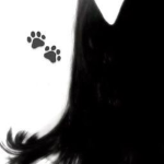 T2ENTY