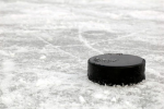 Roblox Alliance of Hockey