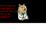 SoulTheDoge