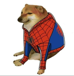 fans de spider doge