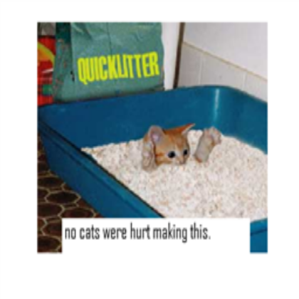 cats funny Roblox decal