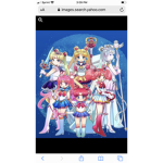 the sailor moon fan club