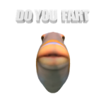 Just a fish