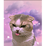 Galaxy Pusheen
