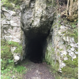 The Cavern