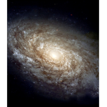 The Galaxy Army 2021