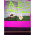 Alive Dance Studio