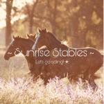 ~ Sunrise Stables ~