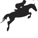 Rocky oak riding academy