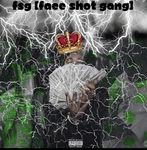 FACE SHOT GANGG